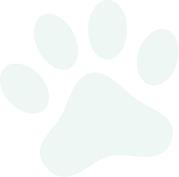 Black paw print on a dark background.