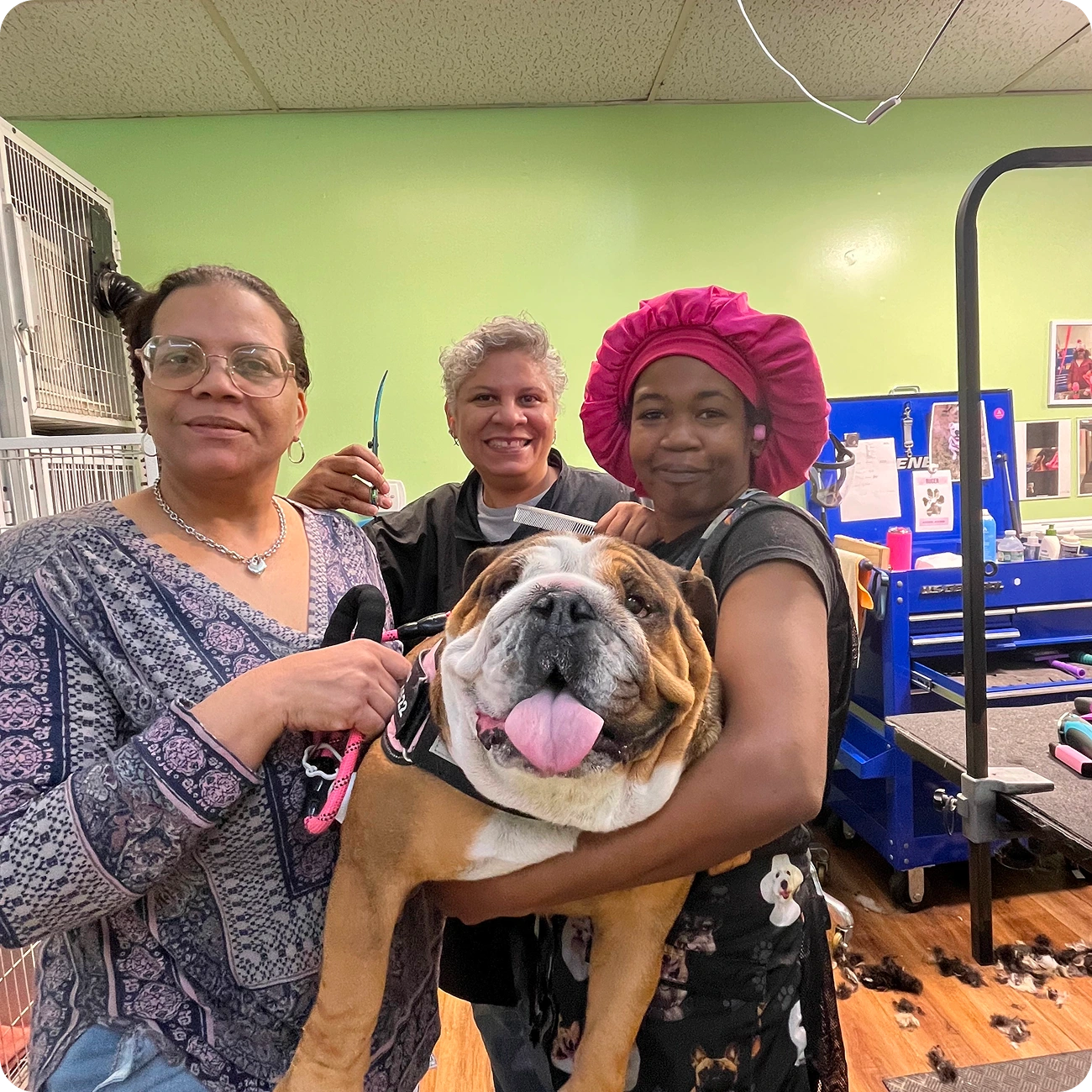 Three people with a smiling bulldog indoors.